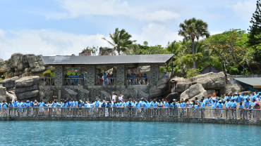 Ocean World celebrates traditional Family Day