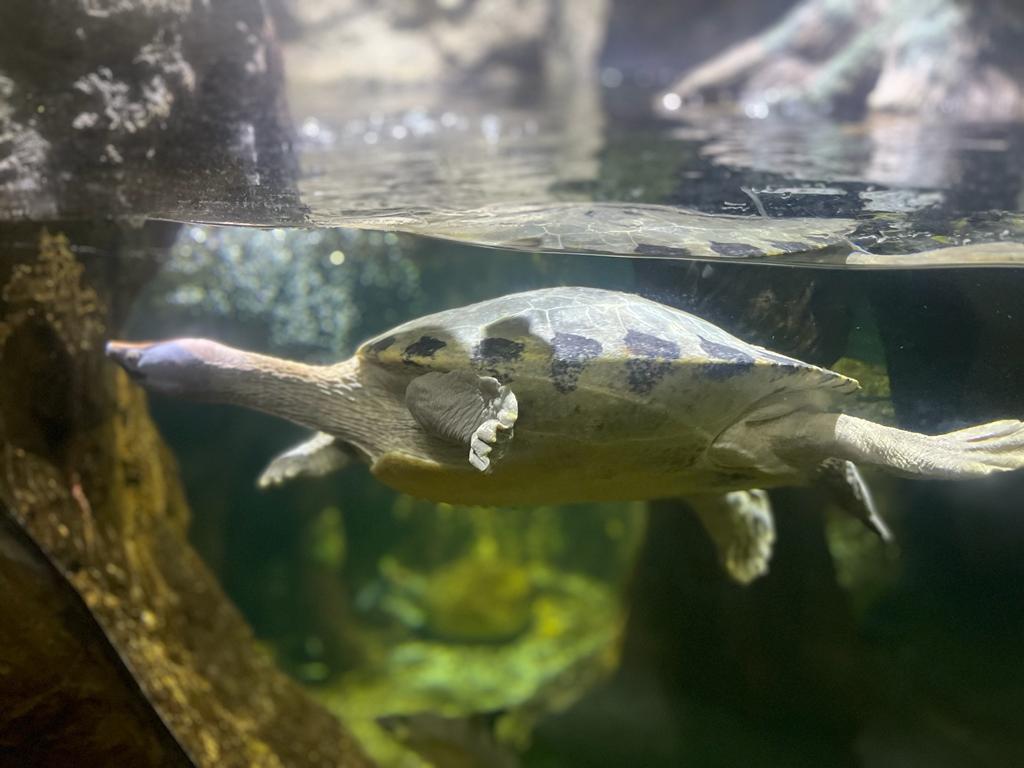 PHOTO 2023 10 14 17 10 38 4 2