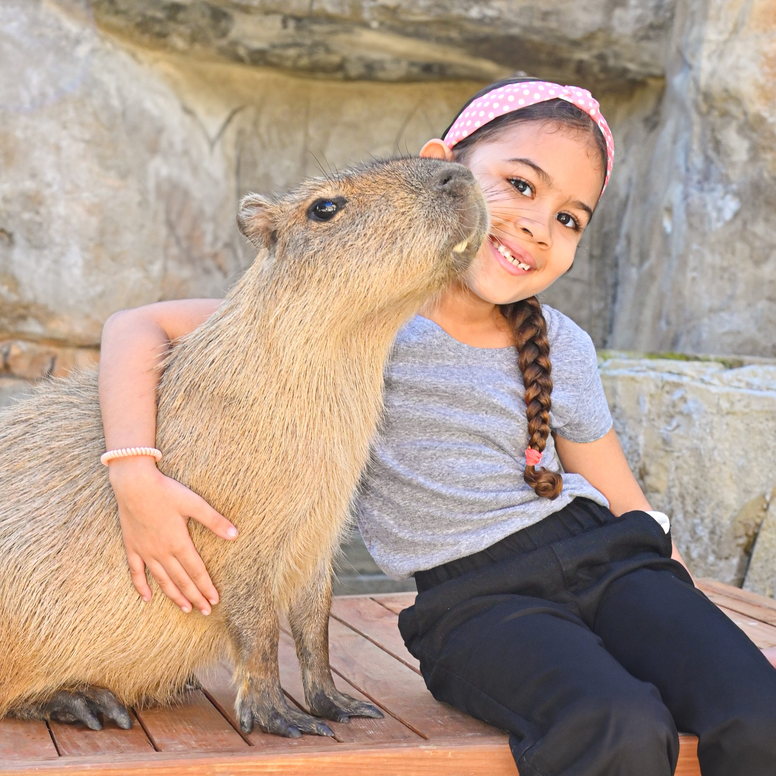 Capybara Encounter