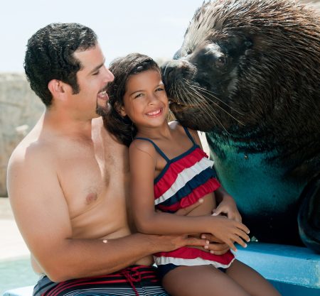 Guest meeting a sea lion at Ocean World