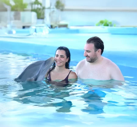 Dolphin Encounter