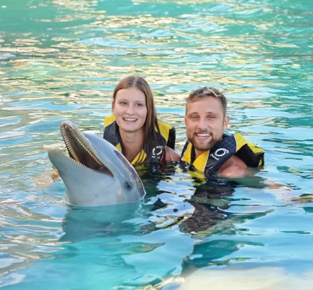 Dolphin Swim