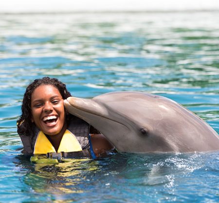 DOMINICANO – Dolphin Swim