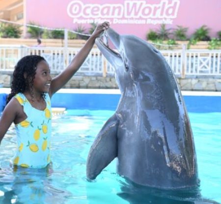 DOMINICANO – Dolphin Encounter